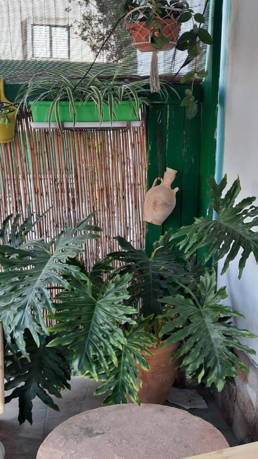 הבית הירוק - Green House Arad Exteriör bild